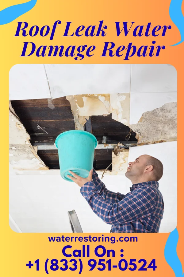 Roof Leak Water Damage Repair in Grady, AR